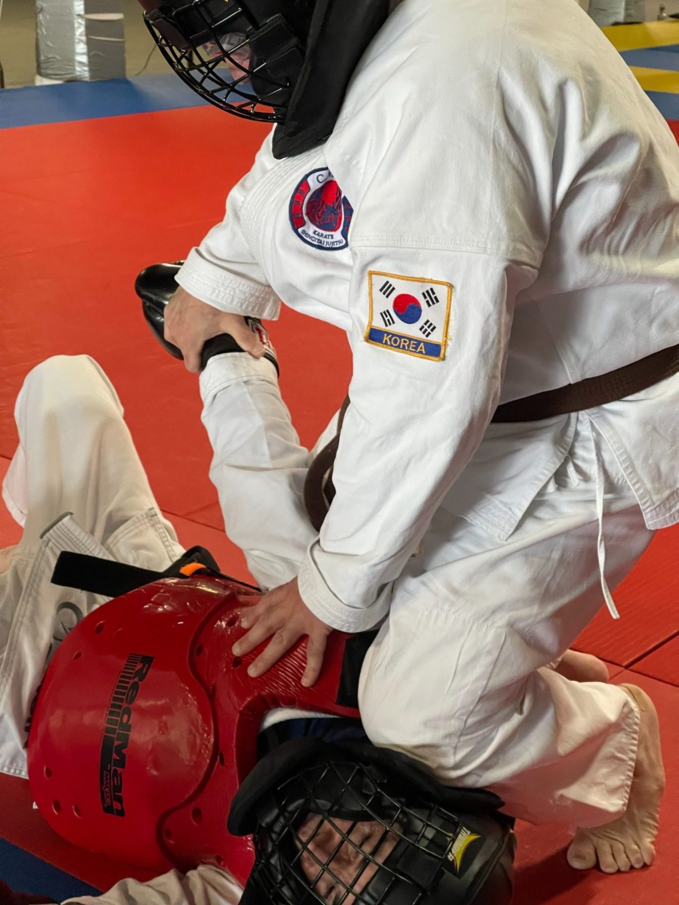 Wushin Jujitsu Traditional Jujitsu