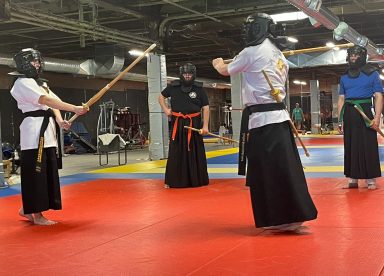 Capalbo Martial Arts All Skill Levels Welcome