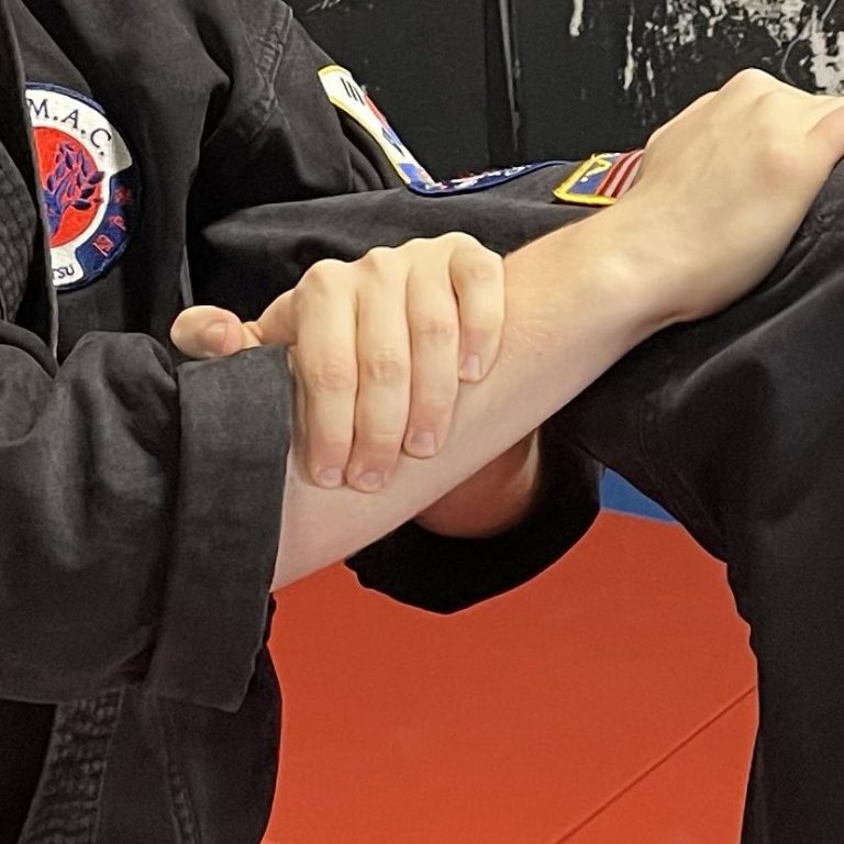 Jujitsu Traditional Jujitsu